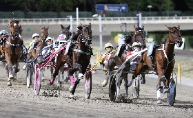 Ippica Ippodromo di Cesena: sabato 25 luglio clou con gli allevatori della Romagna