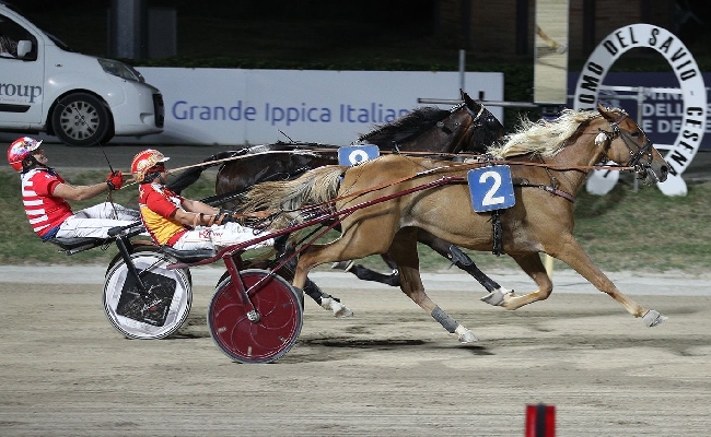 Ippodromo di Cesena: resoconto delle corse di venerdì 24 luglio 2026