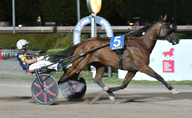 Ippica Ippodromo Snai Sesana sabato trotto Dany Capar wild card Gran Premio Città Montecatini