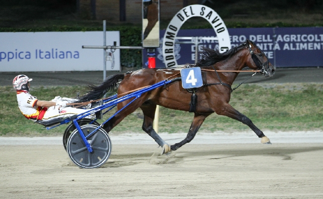 Ippica Ippodromo Cesena: Go Big Effe vince il Premio Anact Delegazione Romagna