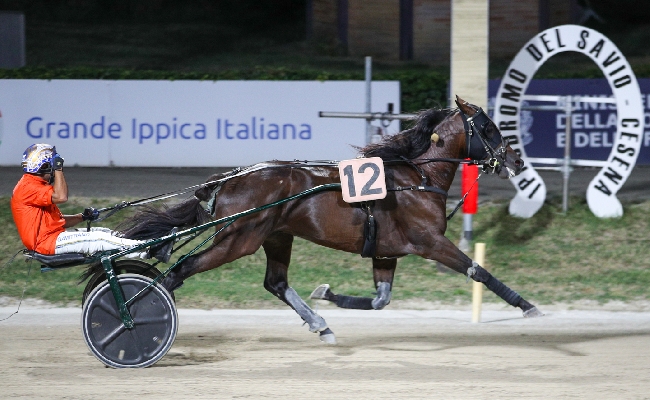 Ippica Ippodromo Cesena: Vincenzo Luongo vince la terza semifinale del Tomaso Grassi Drivers Award 2026