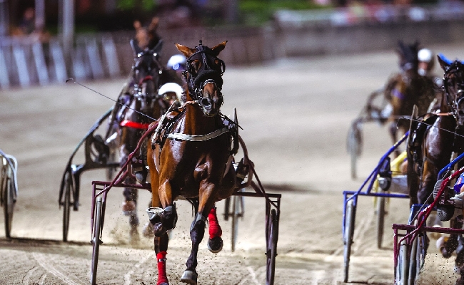 Ippica Ippodromo di Cesena: venerdì 31 luglio ultimo appuntamento del mese con la Giostra di Cesena sette corse dalle 20:45