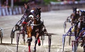 Ippica Ippodromo di Cesena: venerdì 31 luglio ultimo appuntamento del mese con la Giostra di Cesena sette corse dalle 20:45