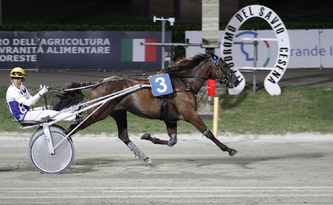 Ippica Ippodromo Cesena: sabato con sette corse il clou è il Premio Orogel Coop