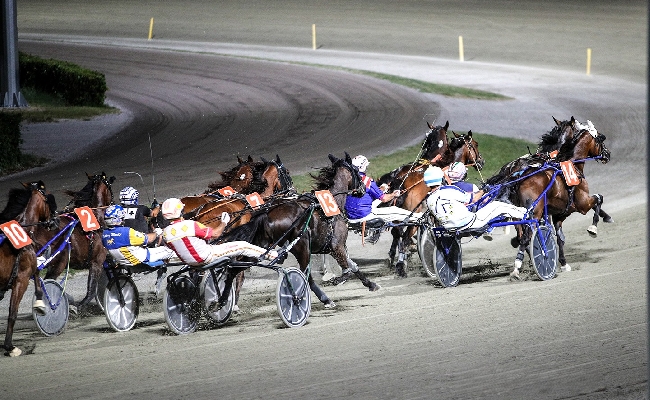 Ippica Ippodromo Cesena Trotto: il resoconto delle corse di venerdì 31 luglio