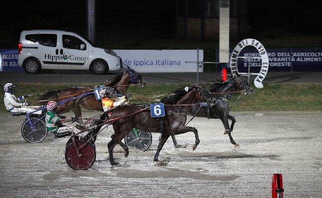 Ippica Ippodromo Cesena Trotto: il resoconto delle corse di sabato 1° agosto