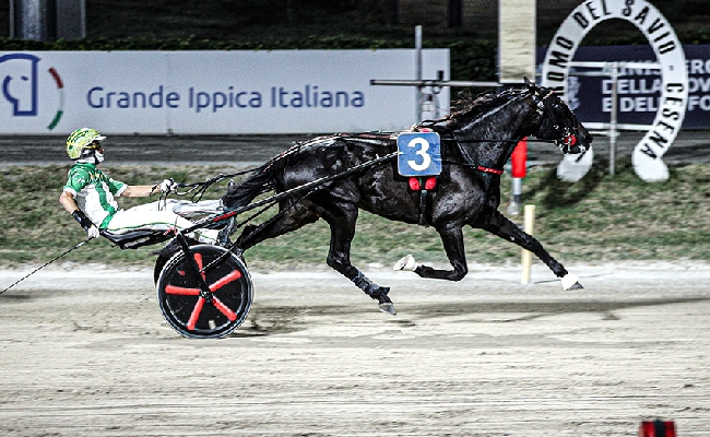 Ippica Ippodromo di Cesena: resoconto delle corse di martedì 4 agosto 2026