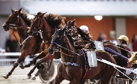 Ippica Ippodromo di Cesena: venerdì 7 agosto sette corse dalle 20:45 con i Gelati Algida
