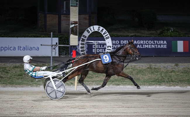 Ippica Ippodromo di Cesena: resoconto delle corse di venerdì 7 agosto 2026