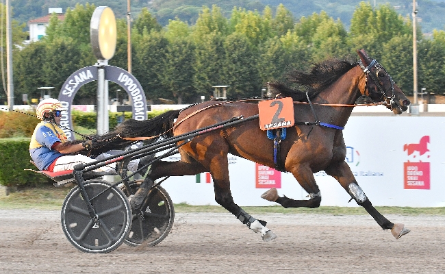 Ippica all’Ippodromo Snai Sesana sabato sera con l’esordio vincente di Leonessa Indal e il tris di vittorie di Federico Esposito. Svelati i partenti del Gp Città di Montecatini dopo il sorteggio dei numeri