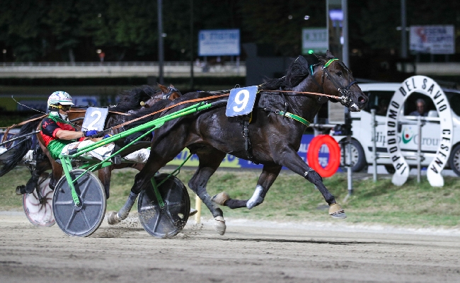 Ippica Ippodromo di Cesena: resoconto delle corse di sabato 8 agosto 2026