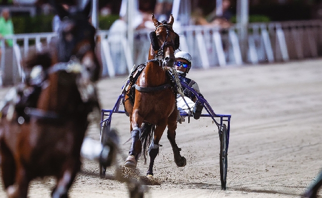 Ippodromo di Cesena: martedì 11 agosto sette corse nel nome della solidarietà. Inizio alle 20:45