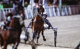 Ippodromo di Cesena: martedì 11 agosto sette corse nel nome della solidarietà. Inizio alle 20:45