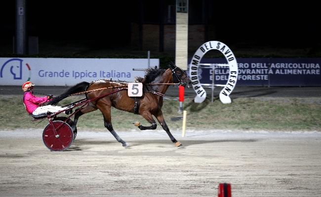 Ippica Ippodromo di Cesena: resoconto delle corse di martedì 11 agosto 2026