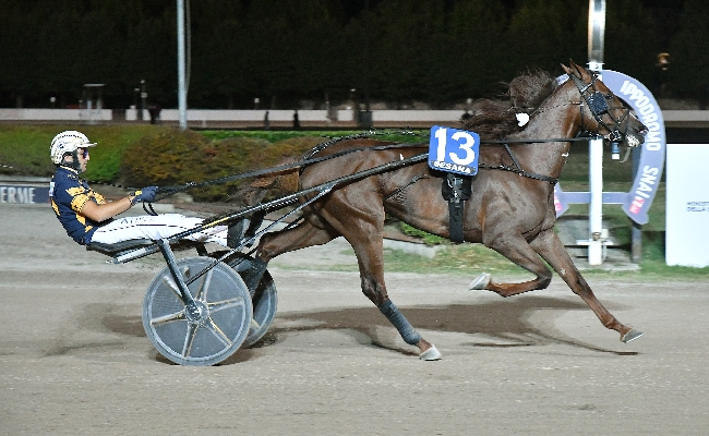 Ippica Ippodromo Snai Sesana Gold Fas Premio Omega Tre TRM giovedì sera trotto