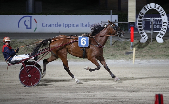Ippica Ippodromo Cesena: Esperanza Ssg vince il Premio Tribunato di Romagna