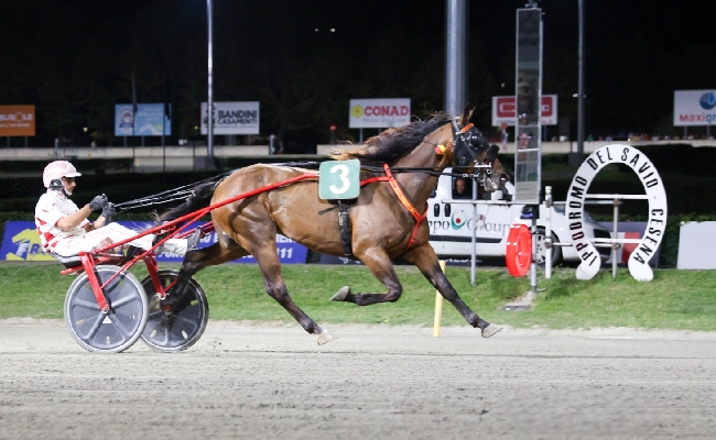Ippica Ippodromo di Cesena: martedì 18 agosto Finalissima Tomaso Grassi Drivers Award la sfida tra i driver con race off finale