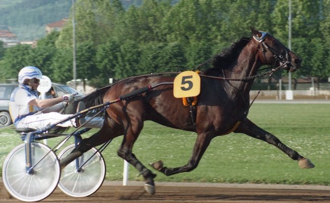 Addio Varenne cavallo trotto