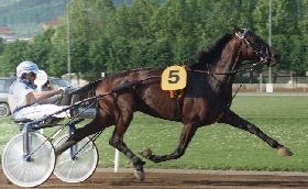 Addio Varenne cavallo trotto