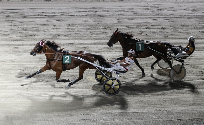 Ippica Ippodromo di Cesena: Roberto Vecchione vince il Tomaso Grassi Drivers Award 2026