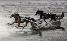 Ippica Ippodromo di Cesena: Roberto Vecchione vince il Tomaso Grassi Drivers Award 2026