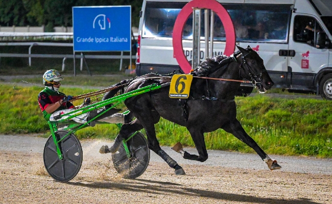 Ippica Ippodromo Snai San Siro mercoledì trotto Ippopotamo TQ Premio Scuderia Lady M