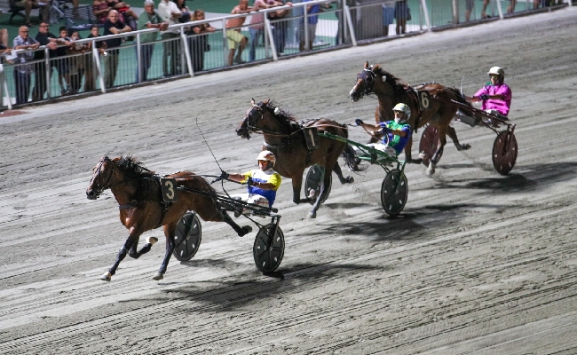 Ippica Ippodromo di Cesena: sabato 22 agosto fari puntati sul Gran Premio Città di Cesena