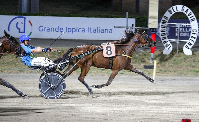 ippica Ippodromo di Cesena: resoconto delle corse di venerdì 21 agosto 2026