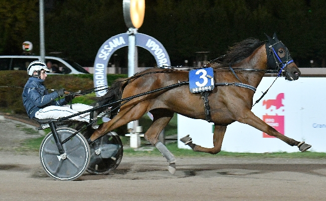 Ippica all’Ippodromo Snai Sesana sabato di trotto pieno di emozioni con Minnucci che in pista ricorda Varenne e con Irold che si conferma nel Premio dedicato a Sari Del Rosso