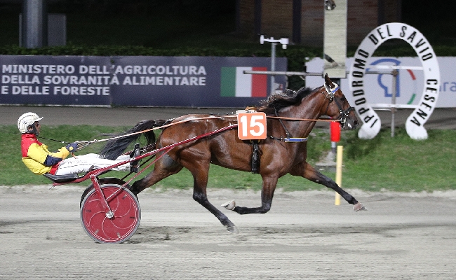Ippica Ippodromo di Cesena: martedì 25 agosto cavalli in pista per la serata Teleromagna dalle 20:45