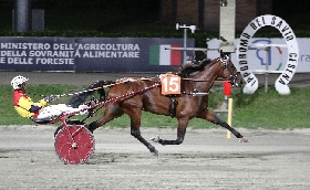 Ippica Ippodromo di Cesena: martedì 25 agosto cavalli in pista per la serata Teleromagna dalle 20:45