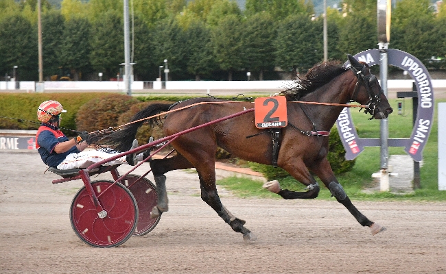 Ippica mercoledì di trotto all’Ippodromo Snai Sesana: Ilex de Buty vince la TQQ intitolata ad Alessandro Rosaspina