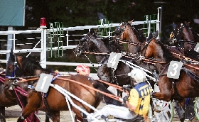 Ippca Ippodromo di Cesena: sabato 29 agosto clou per tre anni con La Commerciale Agricola. Le sette corse iniziano alle 20:45