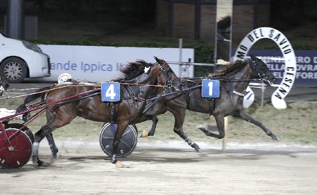 Ippica Ippodromo Cesena: Fuego Di No vince il Premio Confesercenti Ravenna Cesena