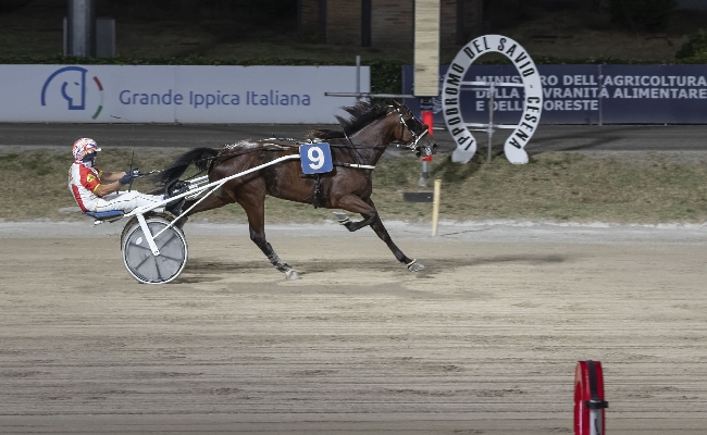 Ippica Ippodromo di Cesena: resoconto delle corse di sabato 29 agosto 2026
