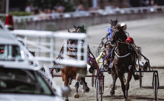 Ippodromo di Cesena 1 settembre sette corse Clou Carnevale di Gambettola