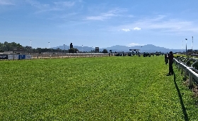 Ippica Roma riabbracciare Capannelle stasera ripartono corse più antico ippodromo Italia