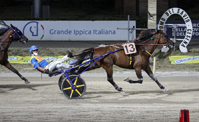 Ippica Ippodromo di Cesena: resoconto delle corse di venerdì 4 settembre 2026