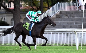 Ippica all'Ippodromo Snai San Siro la seconda parte della stagione di galoppo inizia nel segno di Flag of Fear che si aggiudica il Premio Cancelli