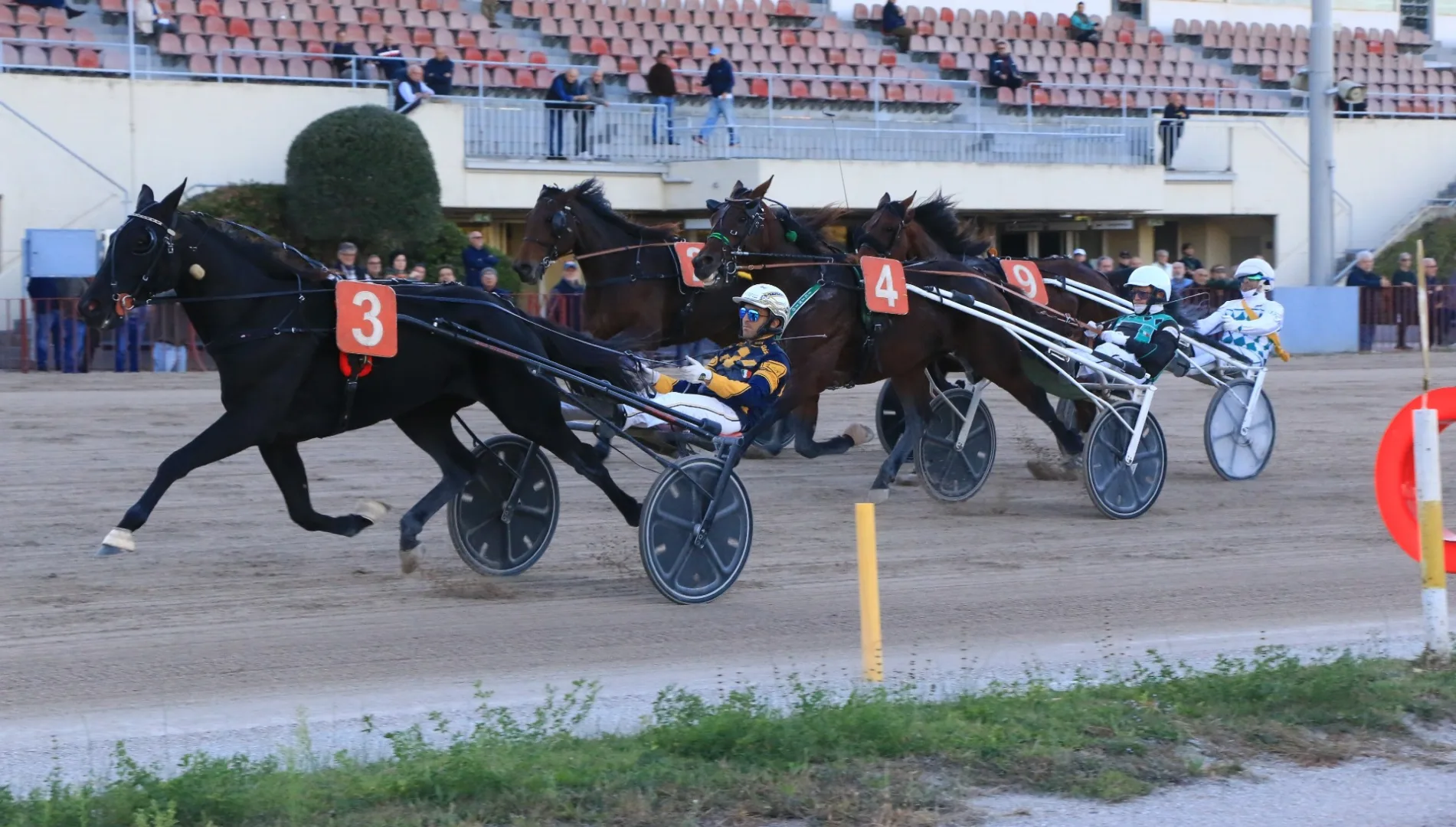 Ippica, Ippodromo di Bologna: resoconto delle corse di giovedì 22 ottobre 2026