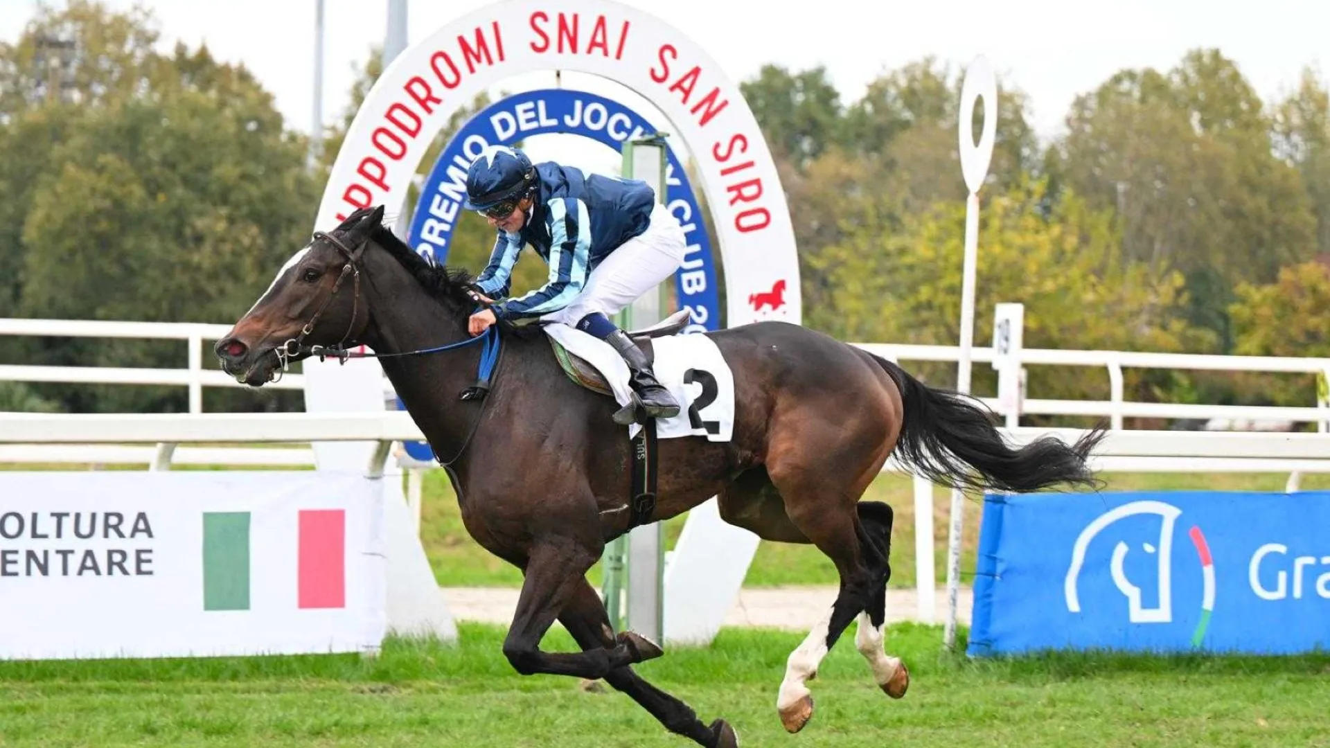Ippica, Stingray domina il Jockey Club nella domenica di galoppo, e di festa, all’Ippodromo Snai San Siro. Crown Board di prepotenza nel Premio Ribot