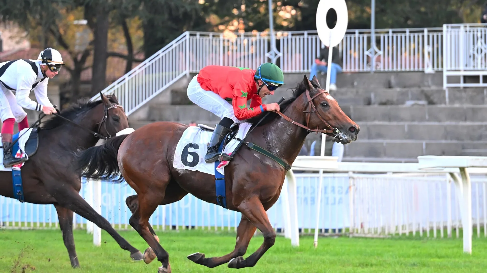 Ippica, Ippodromo Snai San Siro: nel mercoledì di galoppo Sovereign Thought si aggiudica il quintè del Premio Furia 
