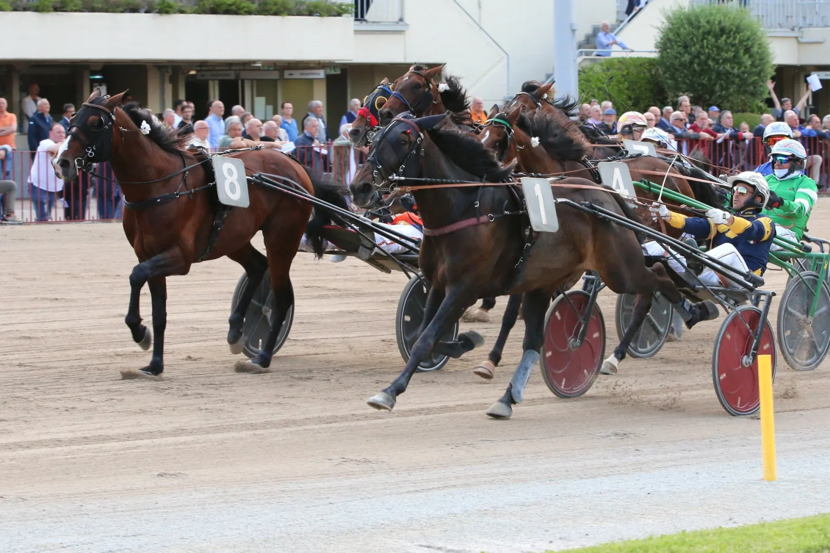 Ippica, giovedì 17 settembre tornano le corse all'ippodromo Arcoveggio. Otto sfide dalle 15:15