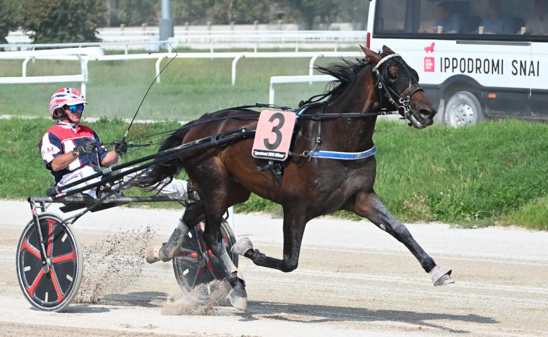 Ippica, Breeders Course nel segno di Leonida e Liberty Gio nel martedì di trotto all’Ippodromo Snai San Siro