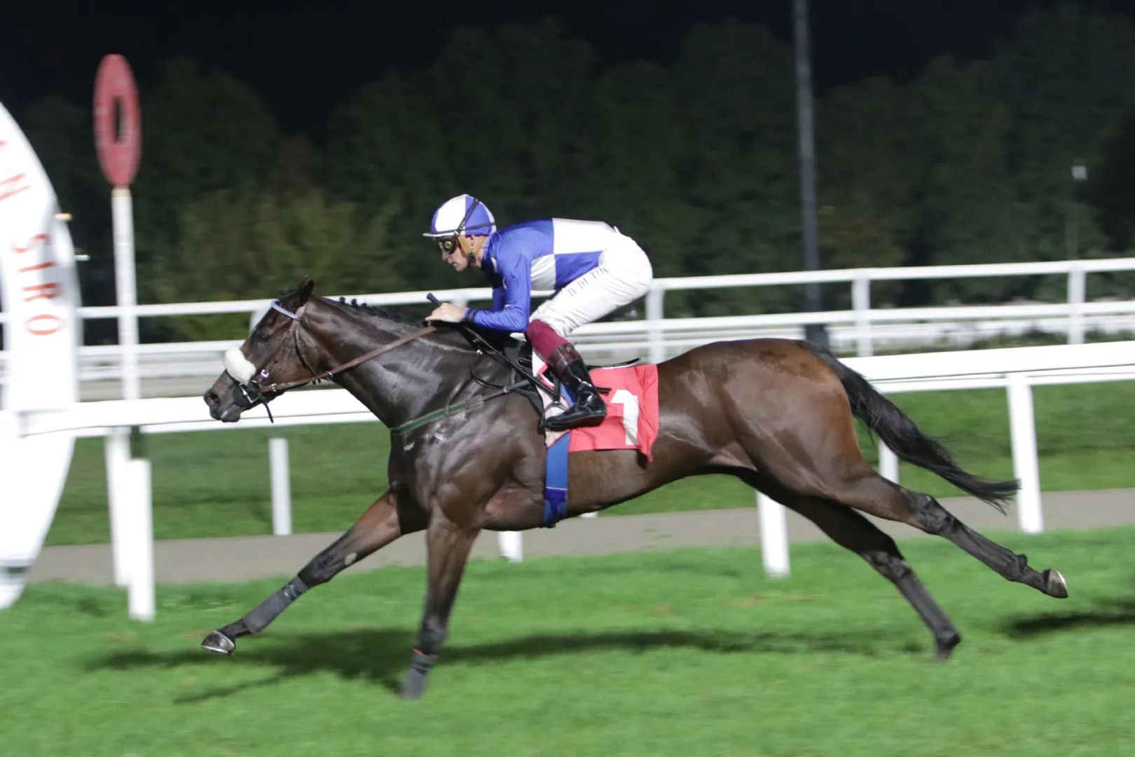 Ippica, venerdì di galoppo in notturna all’Ippodromo Snai San Siro: in pista sei corse dalle ore 18:40 con la listed per il Pietro Bessero, la super condizionata per il Fassati di Balzola e la Tqq