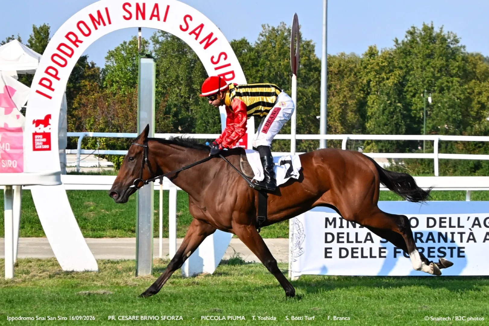 Ippica, all'Ippodromo Snai San Siro il mercoledì di galoppo con la "reginetta" Piccola Piuma che vince il Premio Brivio Sforza