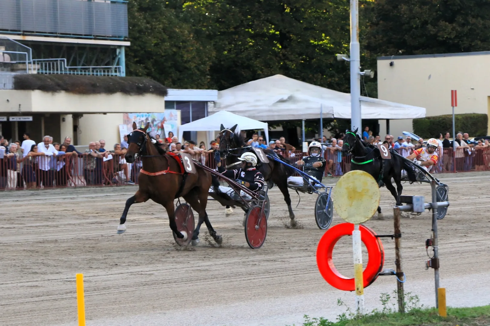 Ippica, all'Ippodromo di Bologna Gran Premio Continentale: non solo corse, tante iniziative per il pubblico