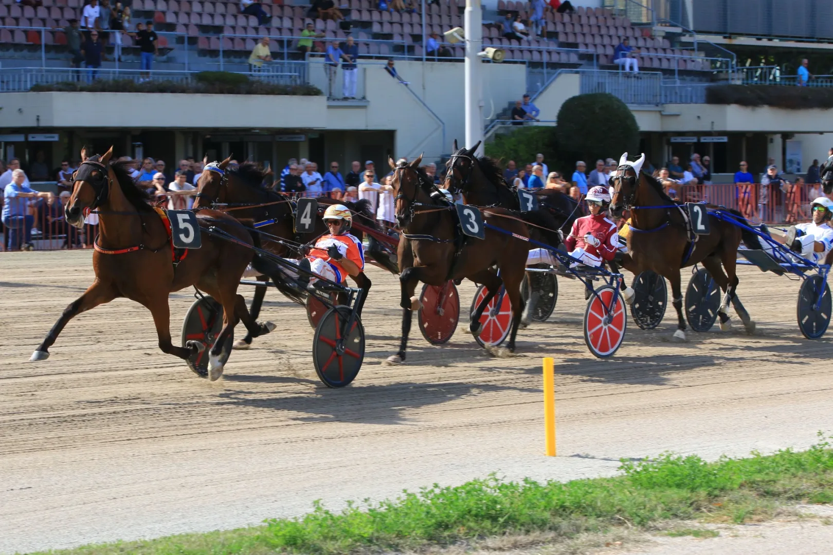 Ippica, Ippodromo di Bologna: giovedì 24 settembre qualità nelle otto corse con inizio alle 15