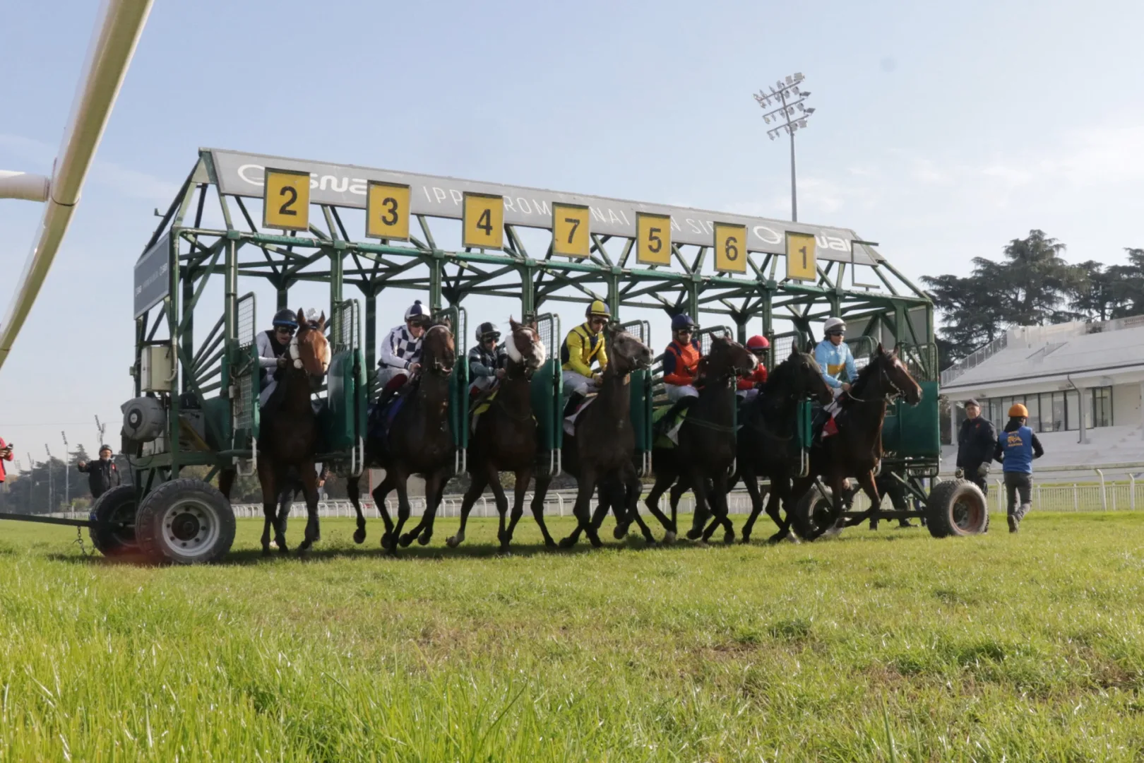 Ippica, mercoledì di galoppo all’Ippodromo Snai San Siro con in pista sette prove dalle ore 15:05 tra cui il Premio Dormelletto e la Tqq per Il Premio Io, Ribot