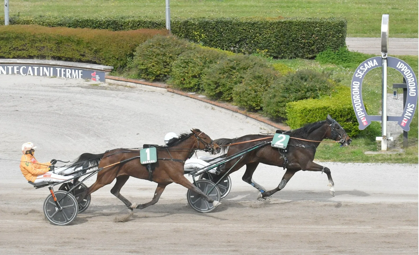 Ippica, all'Ippodromo Snai Sesana penultima uscita stagionale con la 31^ giornata di trotto: sette prove dalle 16:15